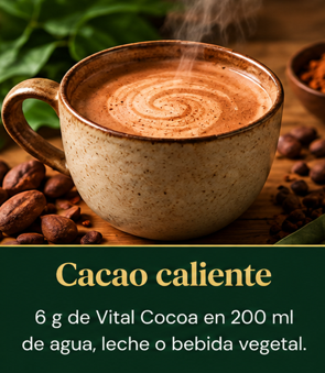 Forma de disfrutar Vital Cocoa 2