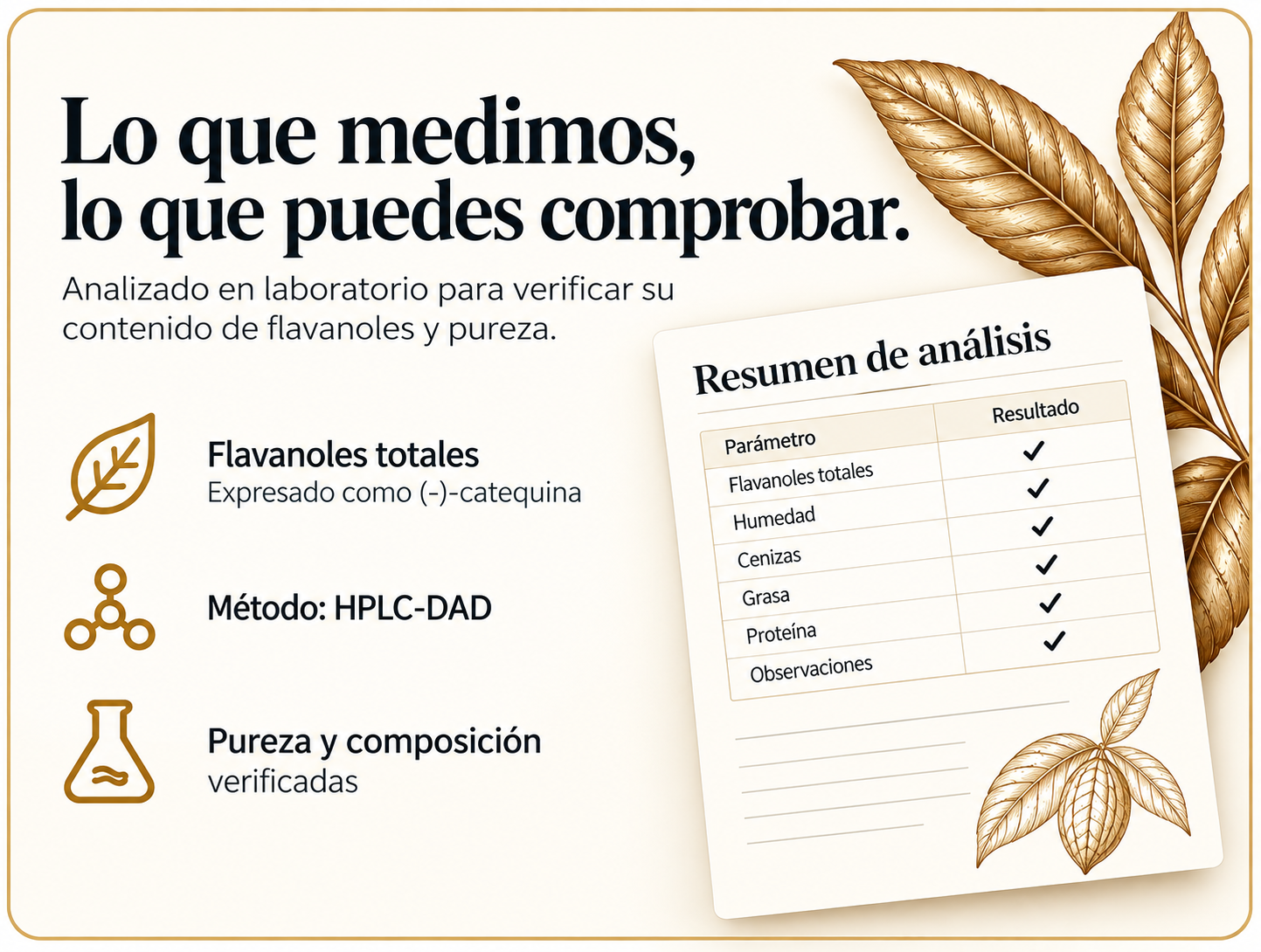 Análisis de Vital Cocoa